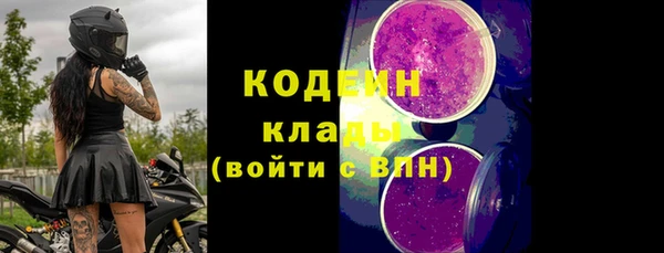 прущие грибы Арсеньев