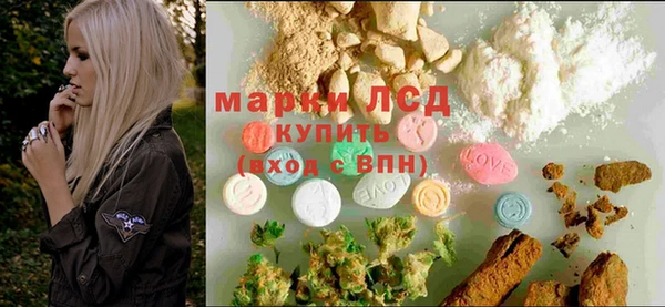 прущие грибы Арсеньев