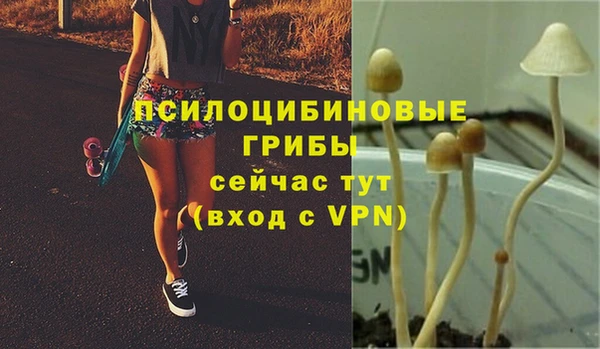 spice Аркадак