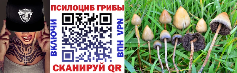 Псилоцибиновые грибы Psilocybine cubensis  блэк спрут вход  Судак 